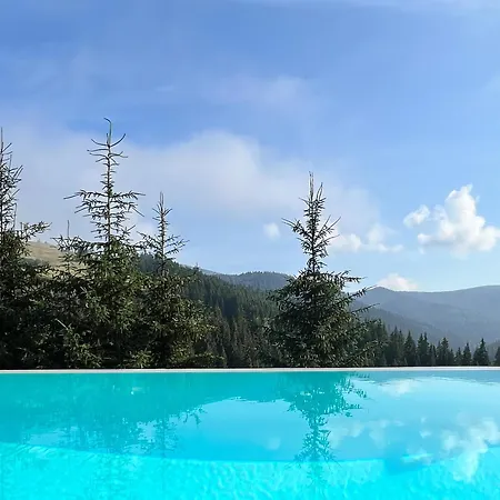 Noir 256 With Its Own Swimming Pool, Hot Tub, And Sauna Yablunytsya