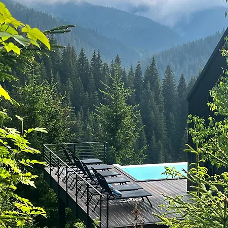 Chalet Noir 256 With Its Own Swimming Pool, Hot Tub, And Sauna