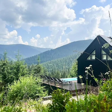 Noir 256 With Its Own Swimming Pool, Hot Tub, And Sauna Yablunytsya