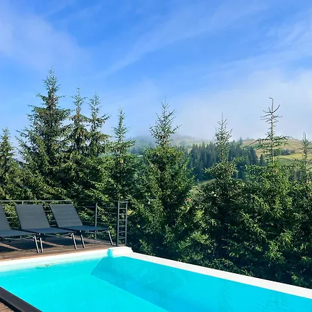 Noir 256 With Its Own Swimming Pool, Hot Tub, And Sauna * Yablunytsya