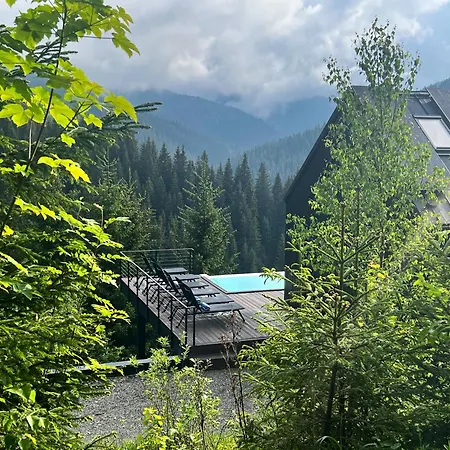 Noir 256 With Its Own Swimming Pool, Hot Tub, And Sauna Chalet *