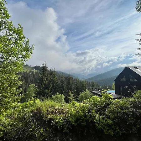 Chalet Noir 256 With Its Own Swimming Pool, Hot Tub, And Sauna Yablunytsya